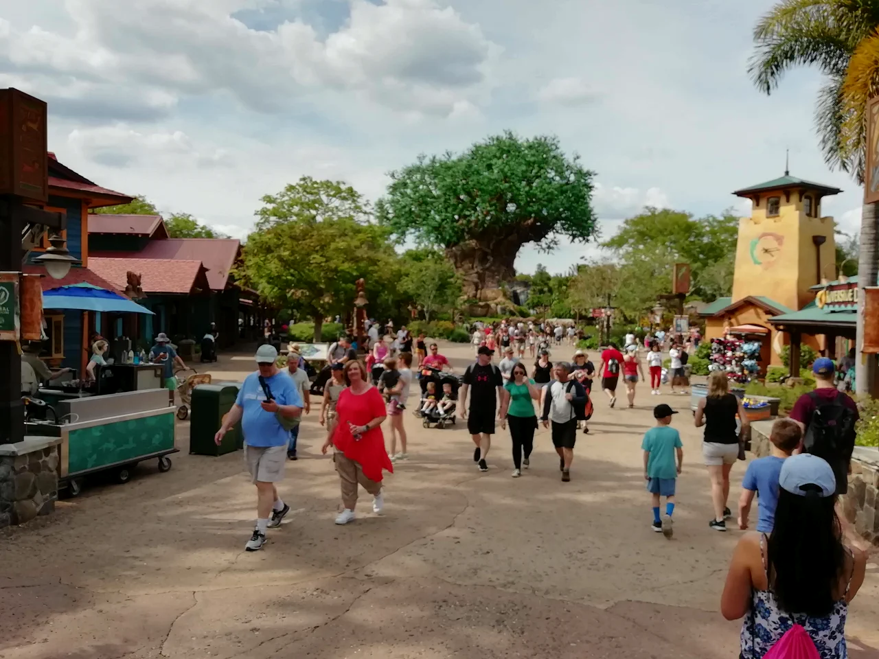 Parque animal kingdom arbol de la vida orlando — Action Travel